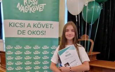 KicsiNagykövet megyei döntő